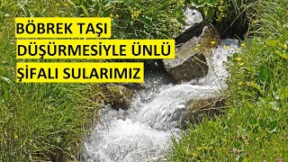 BÖBREK TAŞINI DÜŞÜREN ŞİFALI SULAR ÜLKEMİZİN DÖRT BİR YANI ŞİFALI SU