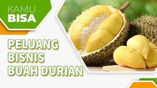 MENGENAL PELUANG BISNIS BUAH DURIAN!