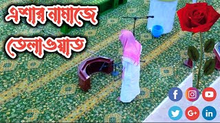 সূরাহ আল বাকারাহ'র শেষের দিকে// Quran Telawat is best voice