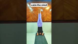 #5benifitsofheadstand#yogagirl #sakshiyogastudio #headstandbenifits#shorts #explore