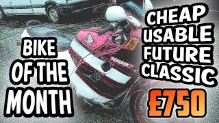 Motorcycle Of The Month - Honda CBR1000F - A Usable Classic Bargain