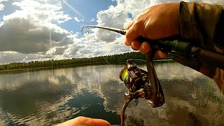 Рыбалка на лесном озере. Ловля окуня летом на новый спиннинг Team Dubna Backwater 2 - 15 г.