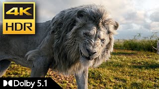 Trailer | Mufasa | 4K HDR | Dolby 5.1