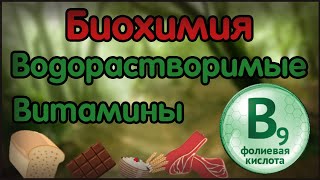 Биохимия. Лекция 18. Водорастворимые витамины. Витамин B9. Фолиевая кислота.