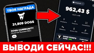 DOGS Выведи монеты СЕЙЧАС! Как я заработаю 10,000 $ после листинга! Дроп CATS СКОРО последний шанс