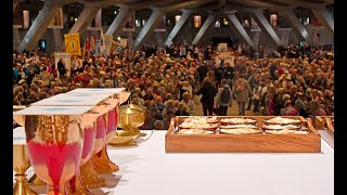 Messe d'ouverture du Pèlerinage du Rosaire, en direct de Lourdes (07/10/2020)