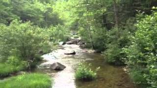 Crossing Harpers Creek on Day 7 of MST Endurance Run