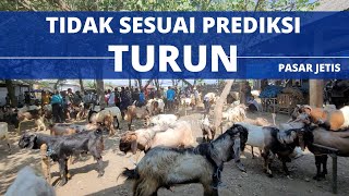 Harga Hancur Lebur❗ Harga Kambing Poelan Mendekati Qurban Turun