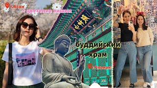 БУДДИЙСКИЙ ХРАМ | Парк с цветущей вишней | Встреча с Маликой 😊