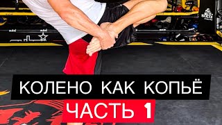 КОЛЕНО КАК КОПЬЁ ( Часть 1 )