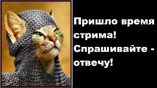 Пришло время стрима! Спрашивайте - отвечу!