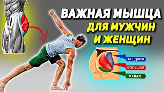 Важная мышца для мужского и женского здоровья / Важный центр в теле / Осанка