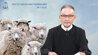 Lời Chúa - Thứ Tư Tuần XII Mùa Thường Niên 26/06/2024