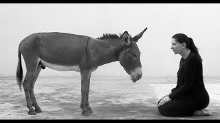 Gaze, Technology, and Death With Marina Abramović And Jared Leto