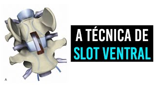 Slot ventral em cães e gatos