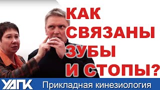 СТОПА и челюсть. Какая связь? проф.Васильева поясняет