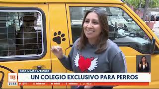 Un colegio exclusivo para que los perros puedan jugar y aprender