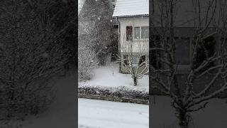 Snow #winter #snow #frozen #schnee  #snowfall #germany #viral #shorts