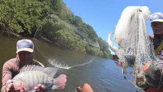 PESCARIA DE TARRAFA NO RIO COCÓ COM A MALHA 6.5 É ASSIM ACERTEI OS PEIXES!