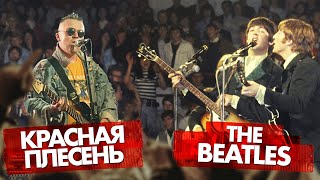 THE BEATLES vs КРАСНАЯ ПЛЕСЕНЬ |  Битва легенд!