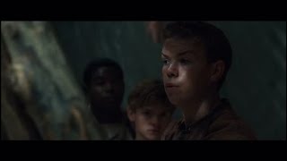 This Is Gally | Maze runner