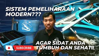 Recirculation Aquaculture System | Pemeliharaan Ikan Sidat