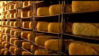 A la découverte des Fromages de Bethmale ! - jemangefrancais.com