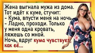 Как жена выгнала мужа, а кума пригрела! Сборник свежих анекдотов! Юмор!