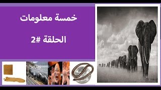 5 معلومات #2 أقدم عازل طبي,أصغر أفعى في العالم,سرعة التسونامي......