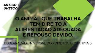 Bem-estar Animal | Direitos dos Animais | Artigo 7º