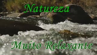 Natureza | Som de Água Corrente Cachoeira | Para relaxar estudar dormir acalmar | CanalAcalma