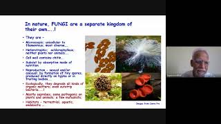 Fungal Taxonomy for Beginners I Prof. Darbhe Jayarama Bhat I MycoAsia MasterClass I 07.01.2024