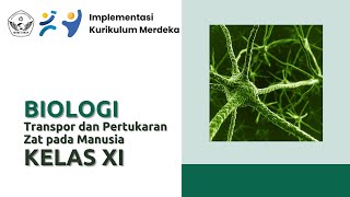 Kurikulum Merdeka : Biologi (SMA Kelas XI) || Transpor dan Pertukaran Zat pada Manusia