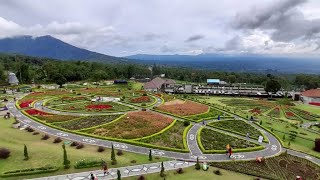 THE BLOOMS GARDEN - Kicauan Burung Merdu