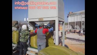 Cattle Feed Bag Packing Machine and Granules Bagging Machine