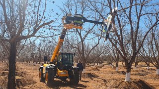 Hydraulische Obstbaumsäge für Teleskoplader | GreenTec Multiträger HXF 3302 und Astsäge LRS 2402