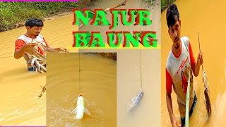 Najur baung