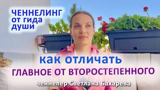 Как отличить главное от второстепенного. Ченнелинг от гида души