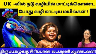 UK வில் மாட்டிக்கொண்ட போது வழி காட்டிய மயில்! #murugan  #velmaaral  #வேல் மாறல்