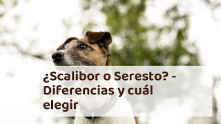 ¿SCALIBOR O SERESTO? - Diferencias y Cuál Elegir