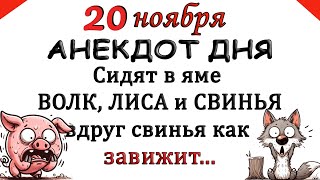 Лучшие анекдоты про зверей. Сидят в яме Волк, Лиса и Свинья. Шутки