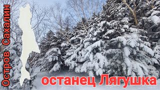 останец Лягушка. Сахалин. 3.03.24.