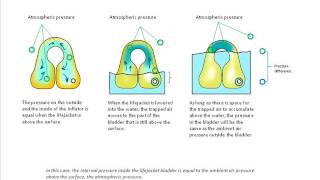 Hammar Hydrostatic Release Unit for Life Jackets