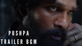 Pushpa Teaser Bgm l Pushpa Raj Introduction Bgm l Allu Arjun l Fahad Fasil l BGM boy KANE