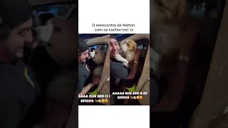 O REENCONTRO DE NATTAN COM OS CACHORROS