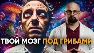 КАК ГАЛЛЮЦИНОГЕНЫ ДЕЙСТВУЮТ НА МОЗГ? МИКРОДОЗИНГ И МУХОМОРЫ ОПАСНЫ? Псилоцибин и зависимость