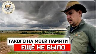 Тридцать один день без остановки шли дожди | Будни Фермера на хозяйстве