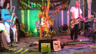 2015-08-21 2155 Aloha Concert - Slushbox - Green Leprechaun Warriors