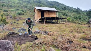 Episode 60 - Transparent corrugated iron roof, Make railings, Sowing water spinach seeds, Trai farm