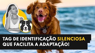 TAG SILENCIOSA QUE FACILITA A ADAPTAÇÃO DO CÃO AO PASSEIO UNBOXING DA MELHOR TAG DE IDENTIFICAÇÃO